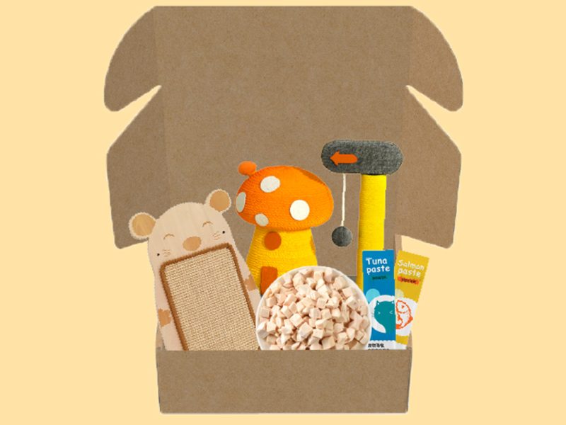 Cat Scratch Box