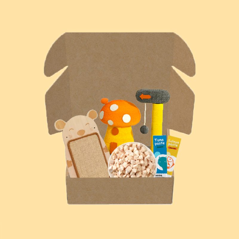 Cat Scratch Box