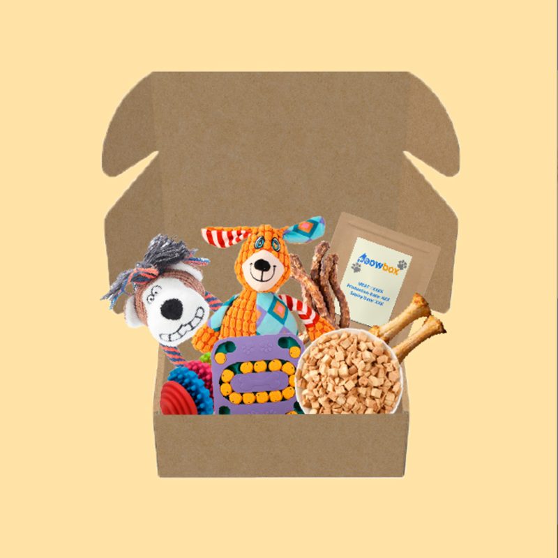 Dog Chew Box