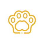 paw 1