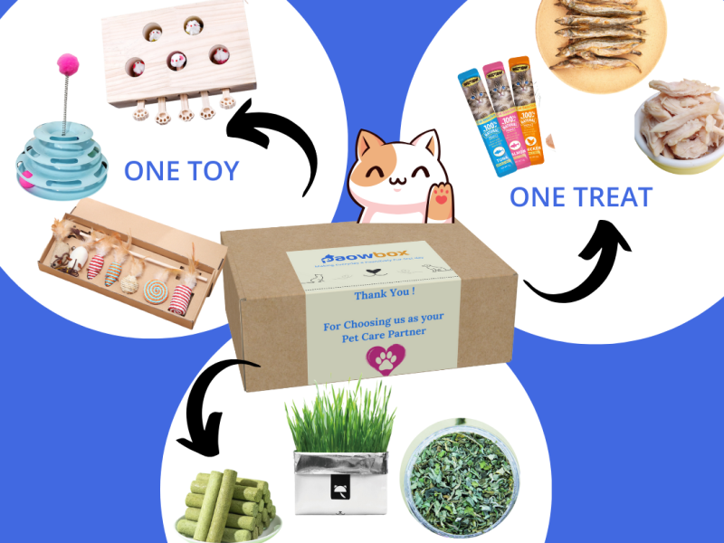 Trial Paowbox For Cats