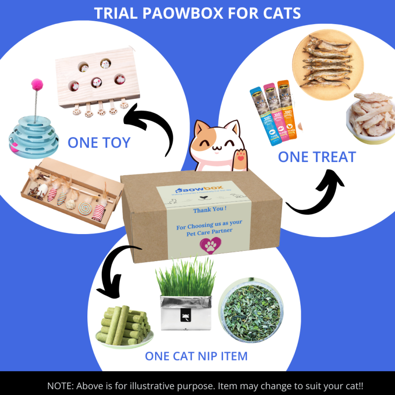 Trial Box for Cats