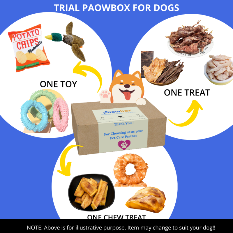 Trial Box for Dogs
