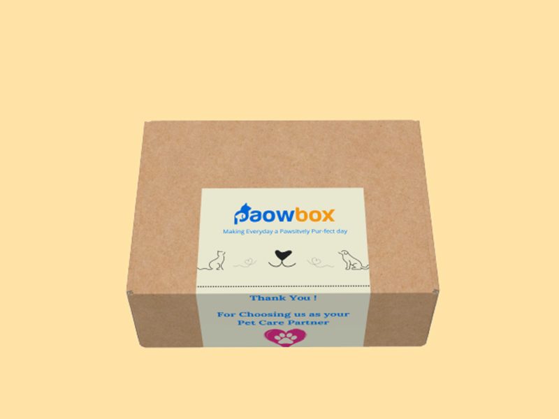 Cat Scratch Box